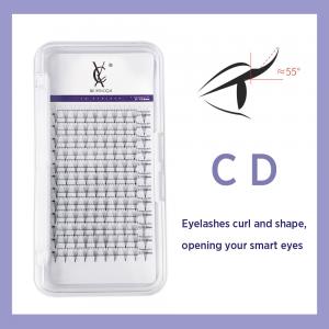 3D Pre-made Eyelash Extension 