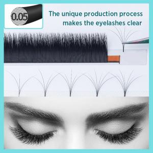 Blooming Eyelash Extension