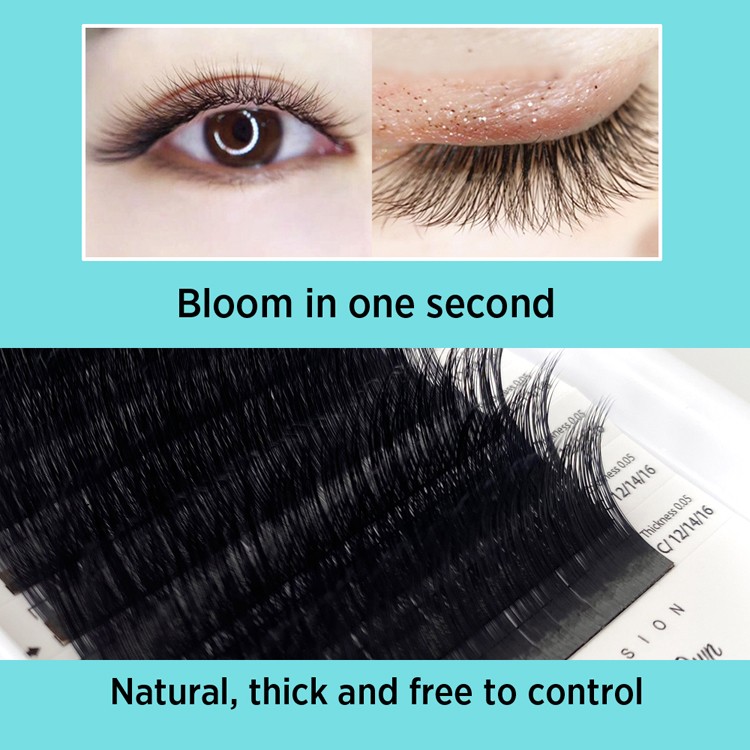 Blooming Eyelash Extension